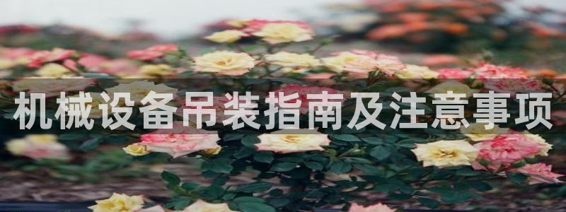 j9九游会老哥俱乐部八戒
