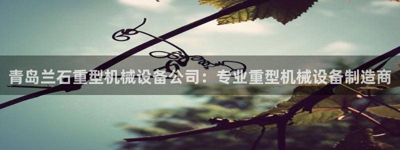 9游会j9