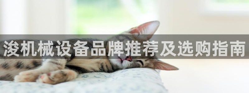 ag8九游会