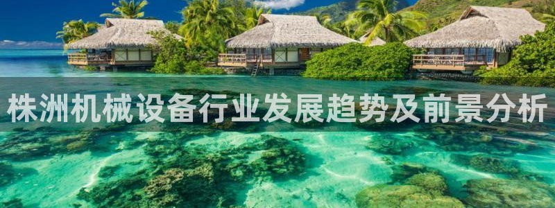 九游会ag官方网站在哪