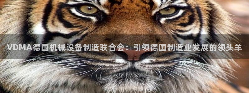 九游j9国际站官方网站
