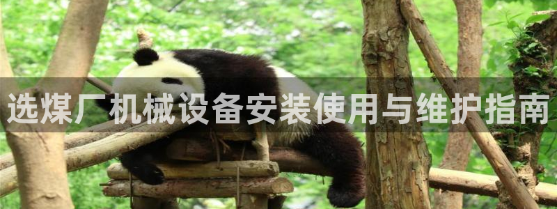 九游会官网页