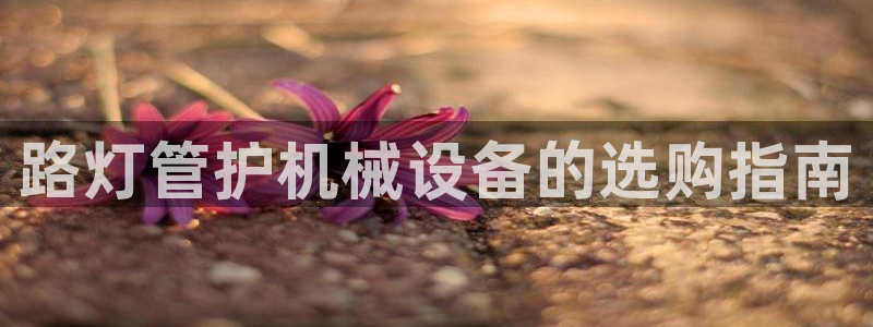 九游会官