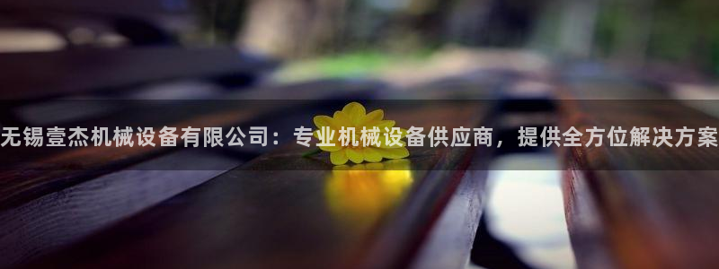 ag怎么变成九游会了