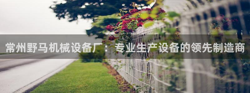 j9九游会老哥俱乐部官网