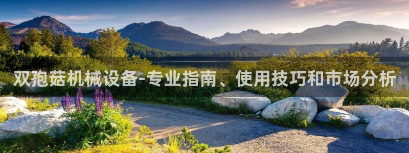 九游会集团 | 首页