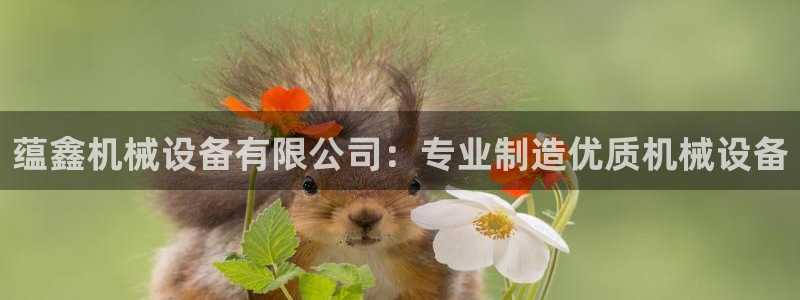九游会在线官方网站