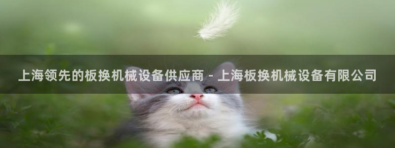 九游会平台王一博泰国