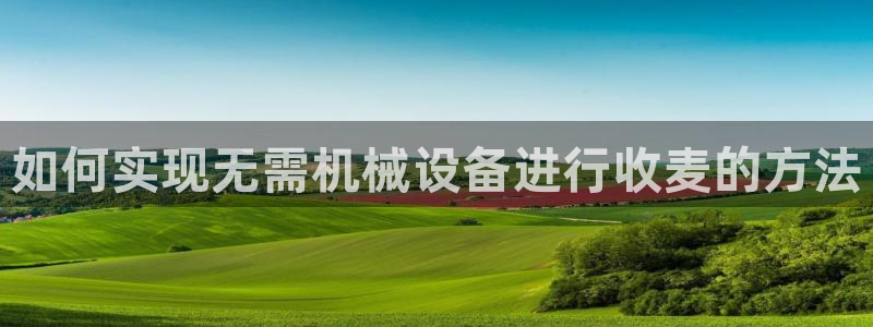 j9九游会老哥俱乐部联系方式