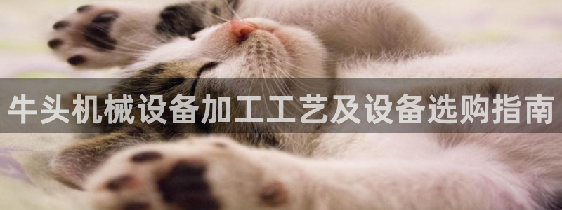 九游会游戏平台