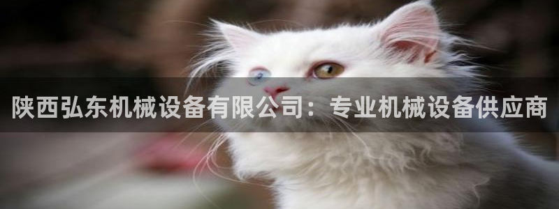 九游会官网进入口