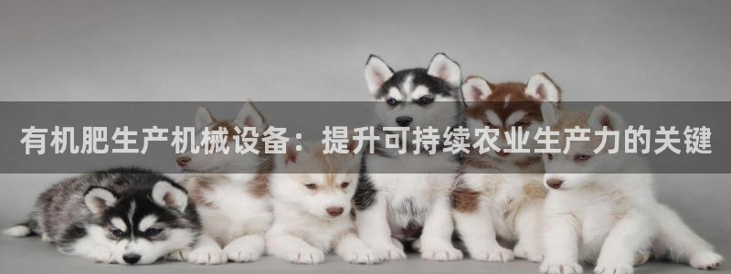 九游会ag私享