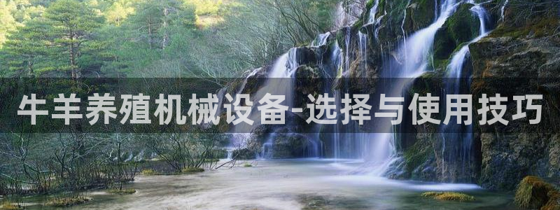 j9.com