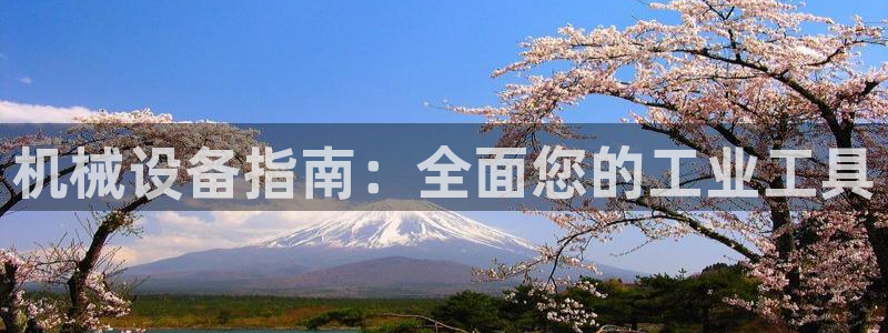 j9九游会app官网下载