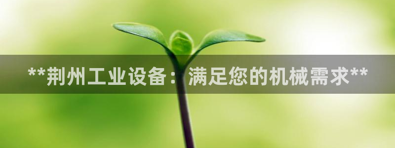 九游会视讯