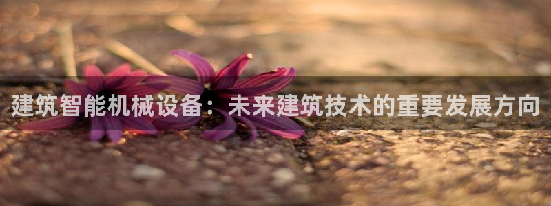 九游会网址大全