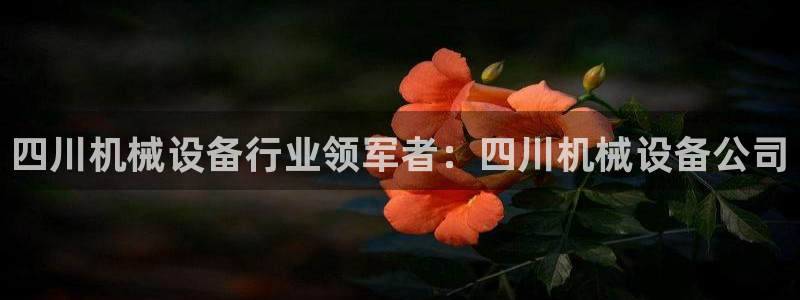 九游会集团登陆