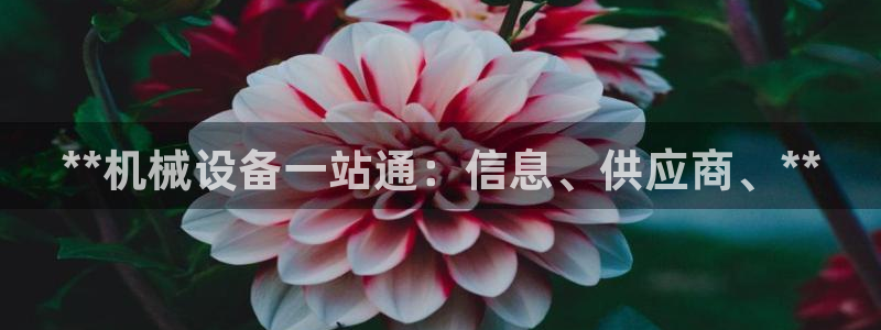 九游会老哥俱乐部必备的交流社区