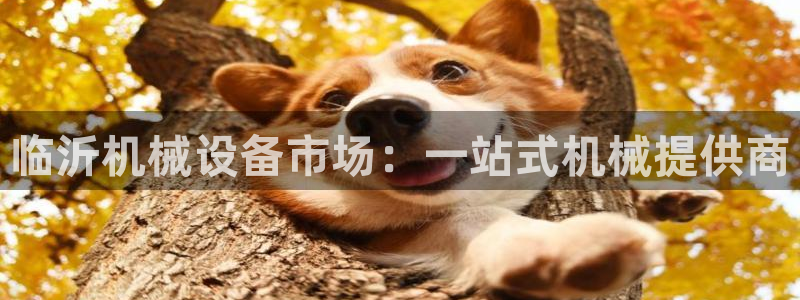 j9九游会备用网址