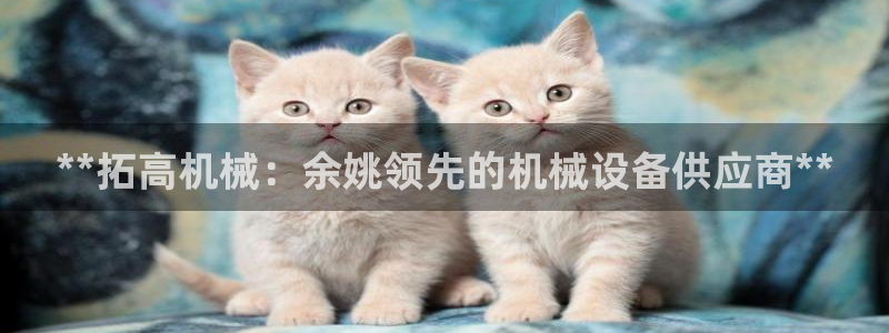 9游会app