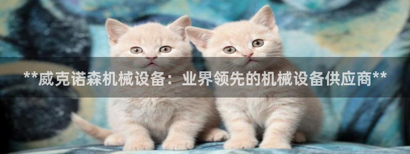 j9游会真人游戏第一品牌