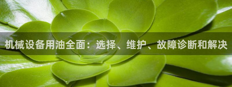 九游会 app