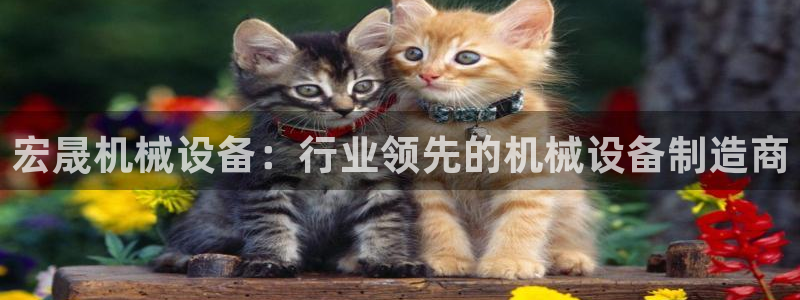 j9九游会app下载