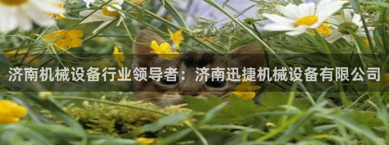 九游会j9