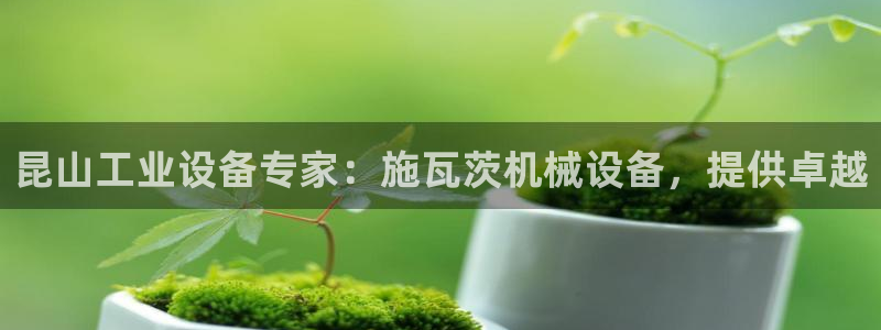 J9九游会国际站