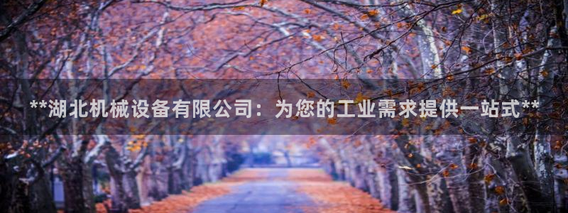 九游会a?g