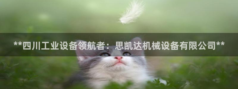 九游会ag入口