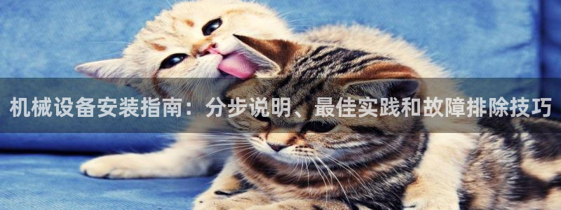 九游会网址是什么