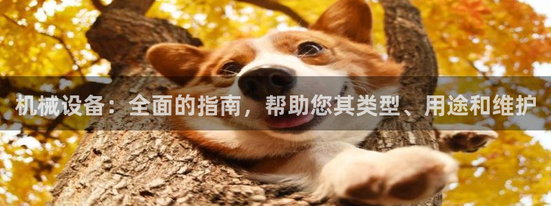 j9九游会真人手机版