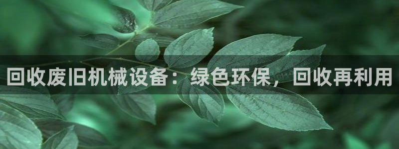 九游会网址最新