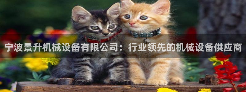 九游会平台