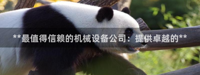 九游会ag官方平台