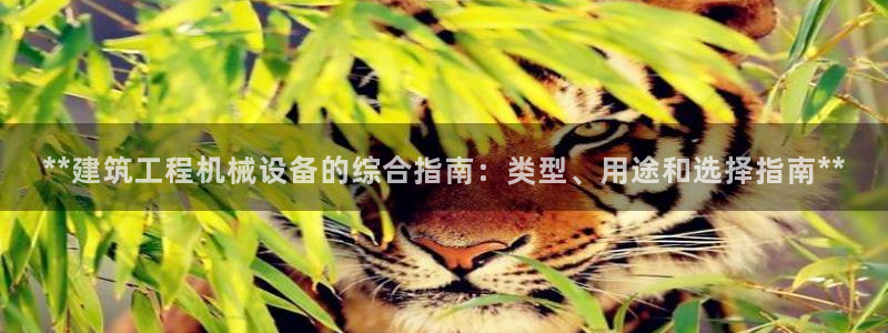 九游会吧