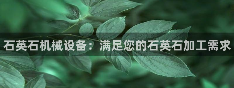 九游会软件