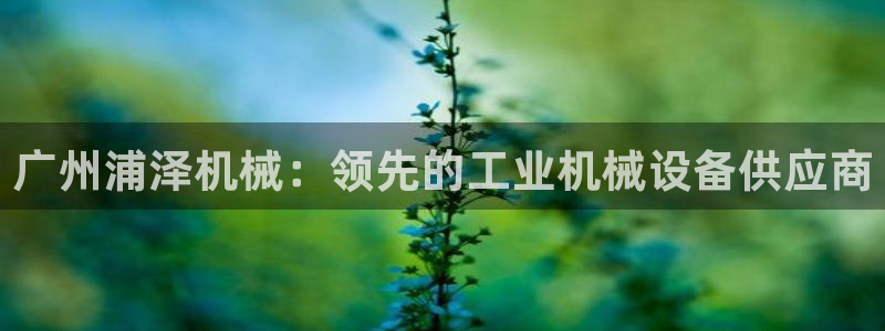 j9九游会网址是什么
