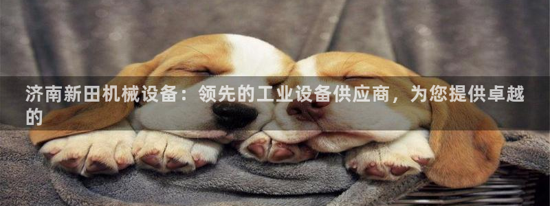 ag九游会登入