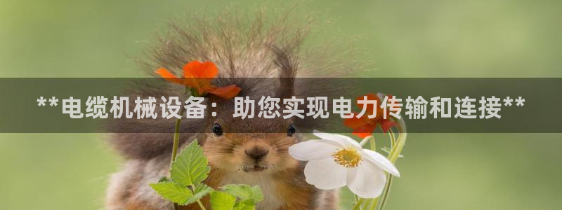 九游J9平台