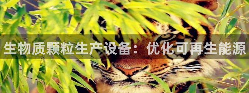 j9九游会直营