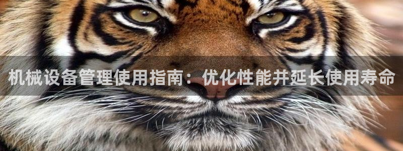 九游会官网多少