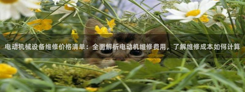 j9官网app