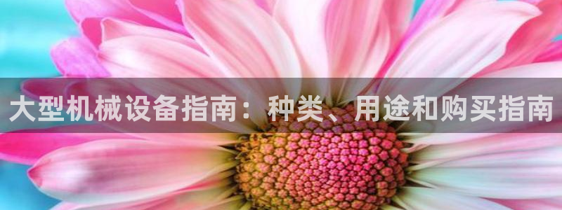 九游会集团