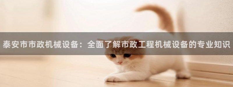 j9九游会游戏