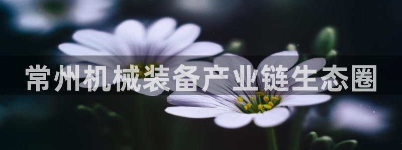 九游会网址是什么