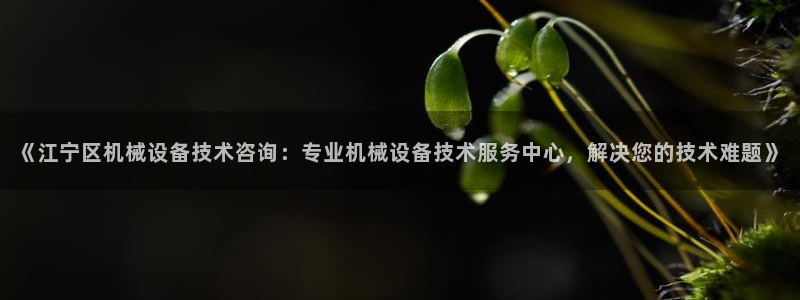 九游会直营