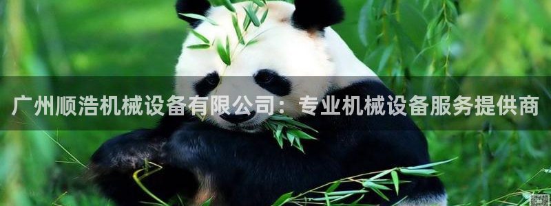 usdt九游会老哥俱乐部