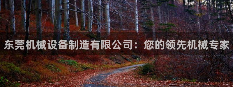 j9j4.cn